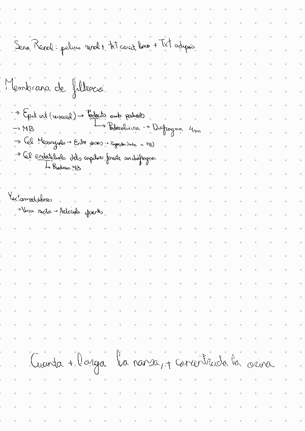 Miniatura del documento Excretor-Resumen.pdf