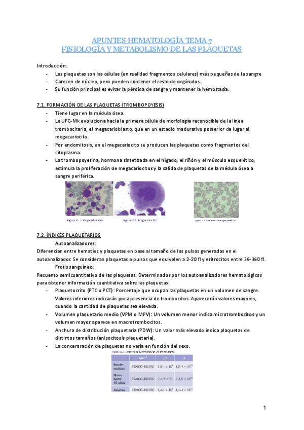 Miniatura del documento Apuntes-HEMATOLOGIA-Tema-7-Fisiologia-y-metabolismo-de-las-plaquetas.pdf