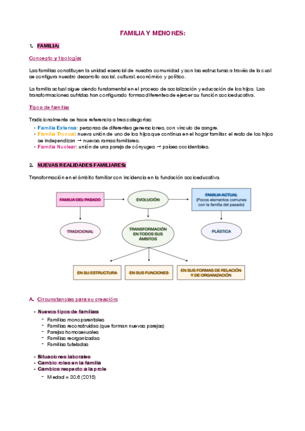 Miniatura del documento FAMILIA-Y-MENORES.pdf