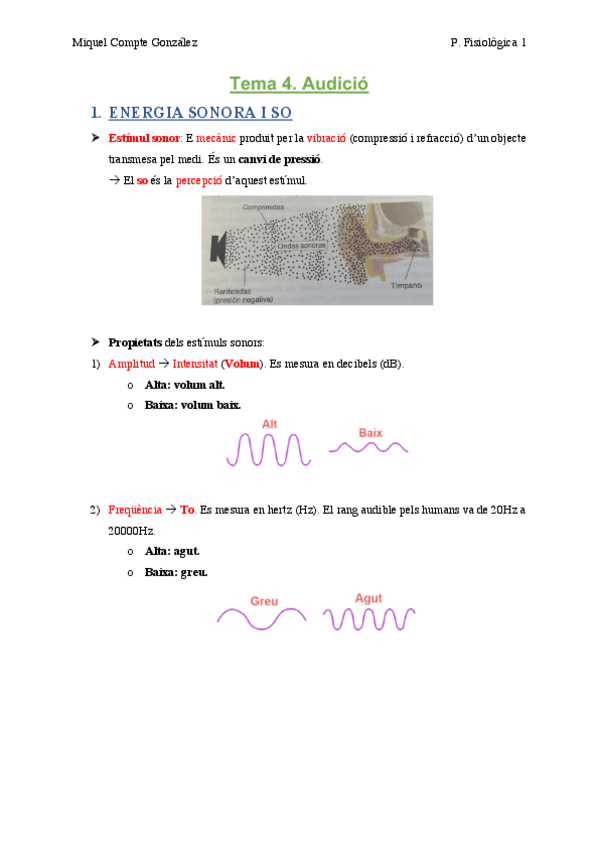 Miniatura del documento TEMA 4. Audició.pdf