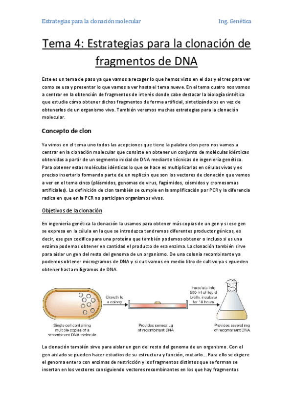 Miniatura del documento Tema 4- Estrategias de clonación molecular.pdf