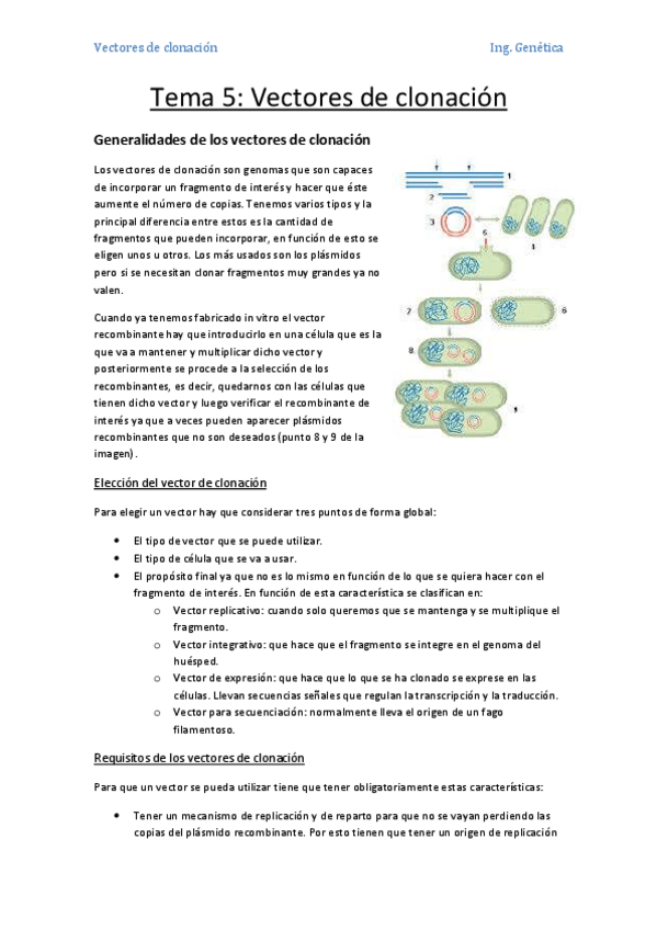 Miniatura del documento Tema 5- Vectores de clonación.pdf