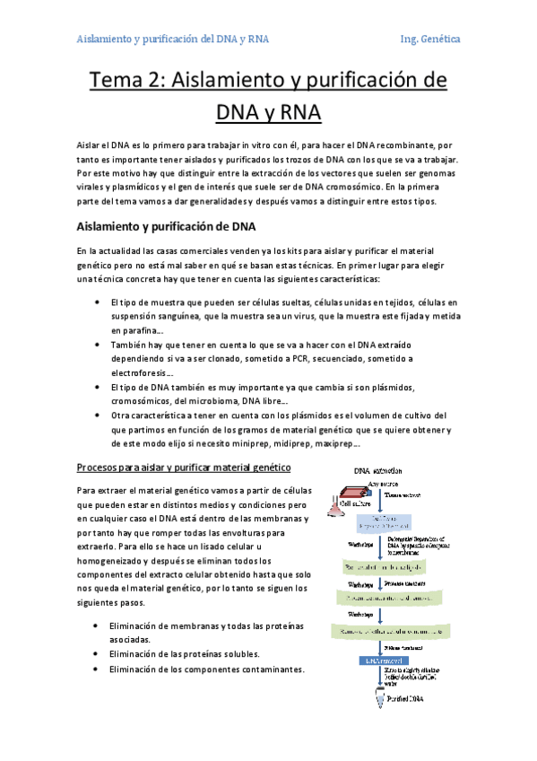 Miniatura del documento Tema 2- Aislamiento y purificación de DNA y RNA.pdf