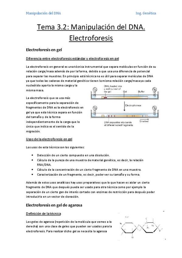 Miniatura del documento Tema 3.2- Manipulación del DNA. Electroforesis.pdf