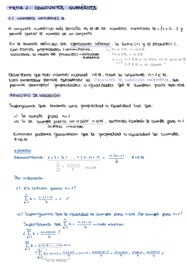 Miniatura del documento Tema-1-conjuntos-numericos.pdf