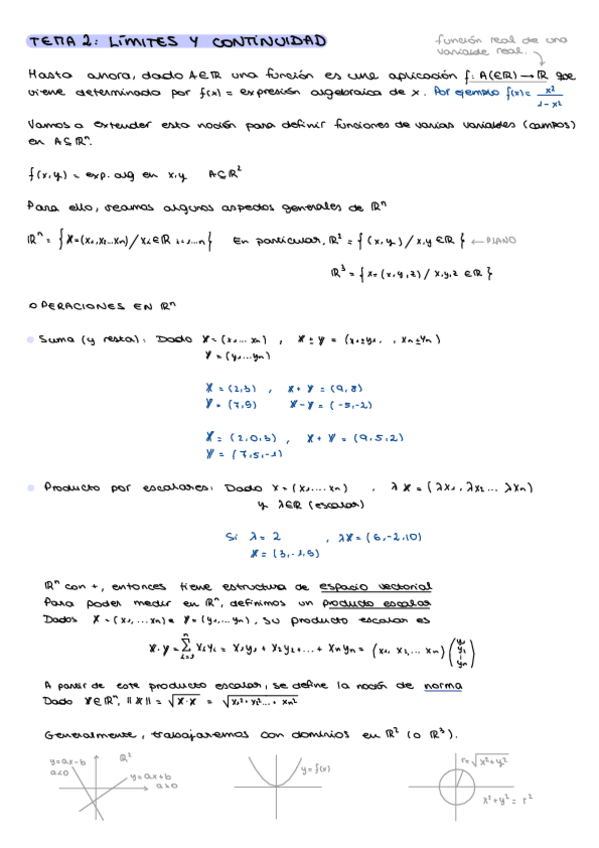 Miniatura del documento Tema-2-limites-y-continuidad.pdf