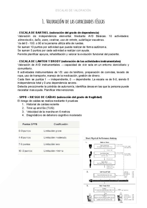 Miniatura del documento ultima-practica-geriatria.pdf