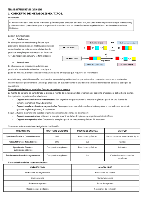 Miniatura del documento B-TEMA-15.pdf
