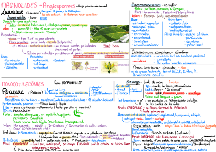 Miniatura del documento 12-Families.pdf