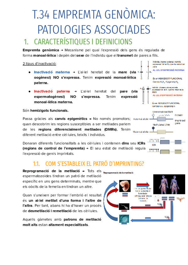 Miniatura del documento T.34-EMPREMTA-GENOMICA-PATOLOGIES-ASSOCIADES.pdf