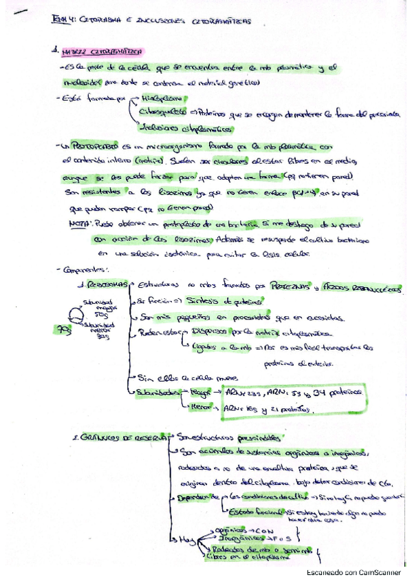 Miniatura del documento Tema-4-micro.pdf