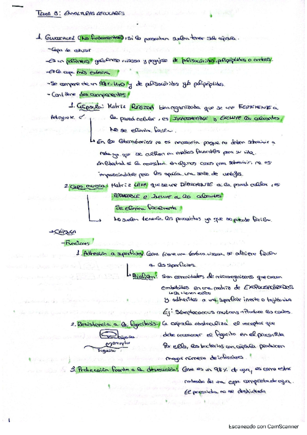 Miniatura del documento Tema-3-micro.pdf