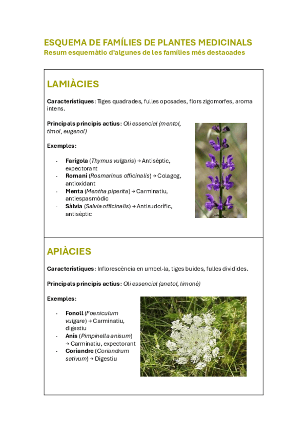 Miniatura del documento PLANTES MEDICINALS ESQUEMES.pdf