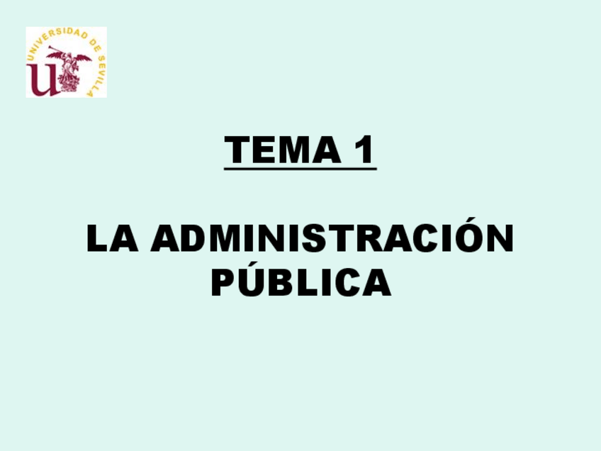 Miniatura del documento TEMA 1 LA AP.pdf