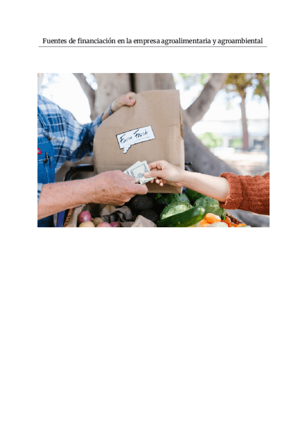 Miniatura del documento Practica-4-Fuentes-de-financiacion-en-la-empresa-agroalimentaria-y-agroambiental.pdf