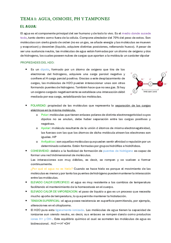 Miniatura del documento bioquimica.pdf