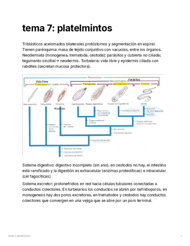 Miniatura del documento tema-7-zoo.pdf