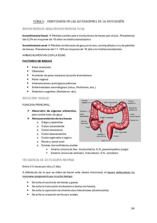 Miniatura del documento TEMA-4-suelo-pelvico.pdf