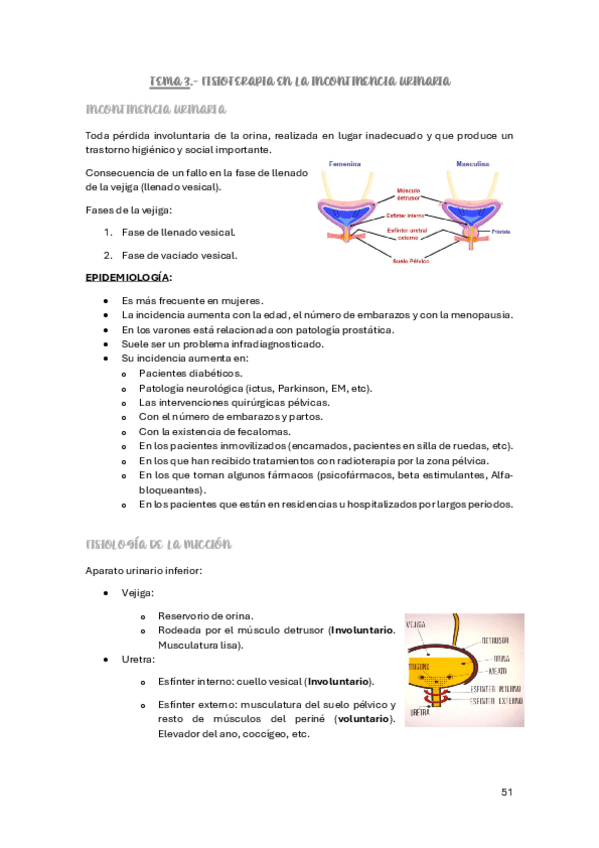 Miniatura del documento TEMA-3-suelo-pelvico.pdf