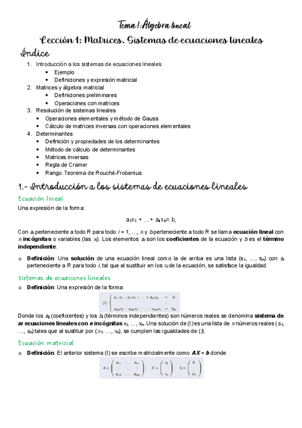 Miniatura del documento Tema-1Leccion-1.pdf