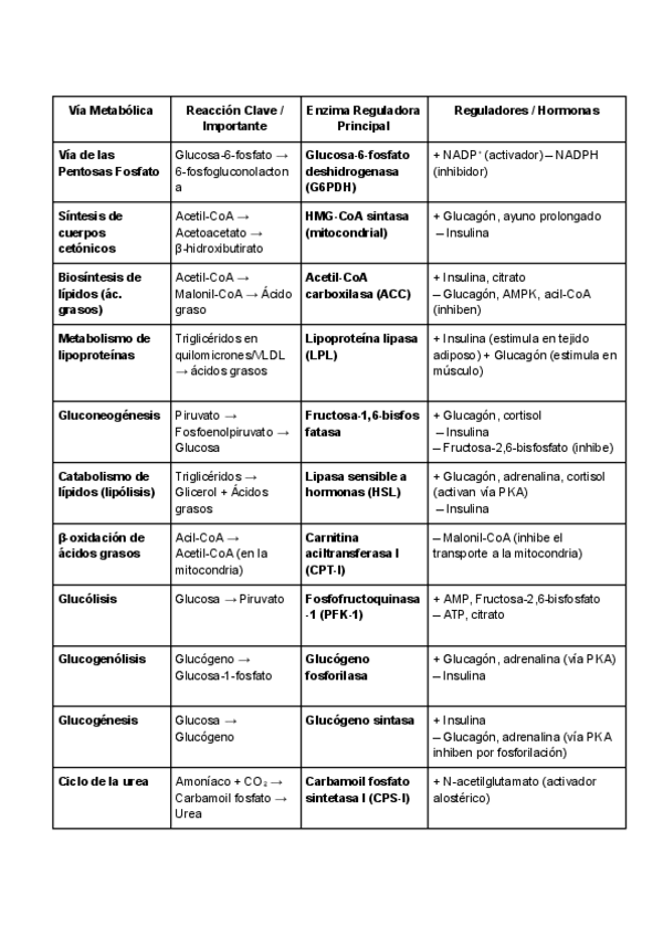Miniatura del documento Tablaresumen-de-Vias-Metabolicas.pdf