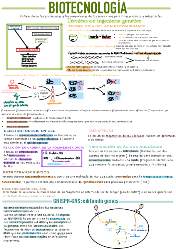 Miniatura del documento Resumen-biotecnologia-PAU.pdf