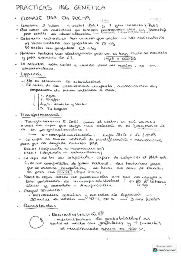 Miniatura del documento teoria-practicas-ingenieria-genetica.pdf