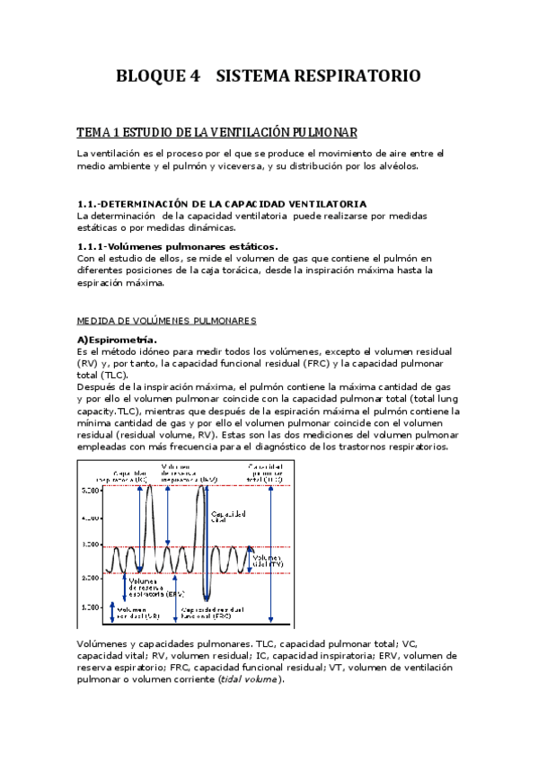 Miniatura del documento BLOQUE 4  Tema 1.pdf