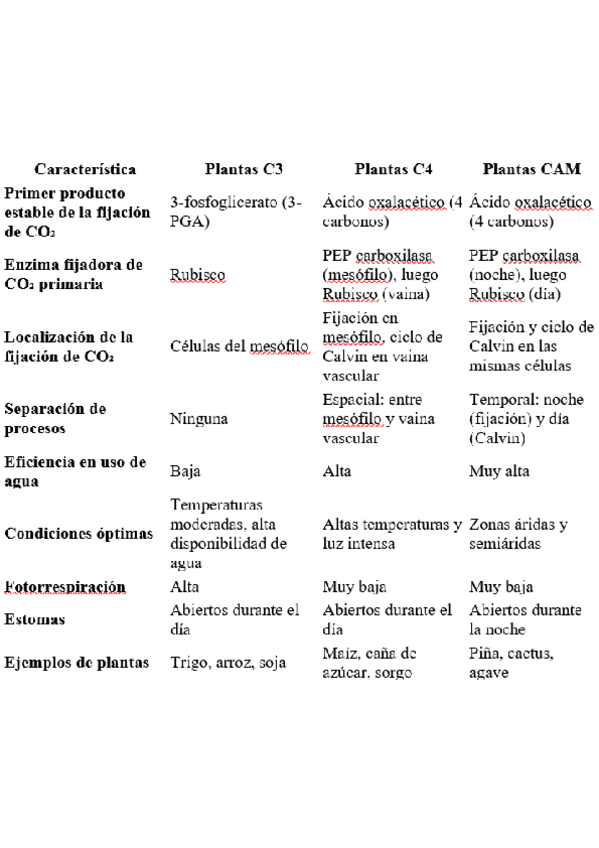 Miniatura del documento Diferencias-C3-C4-y-CAM.pdf