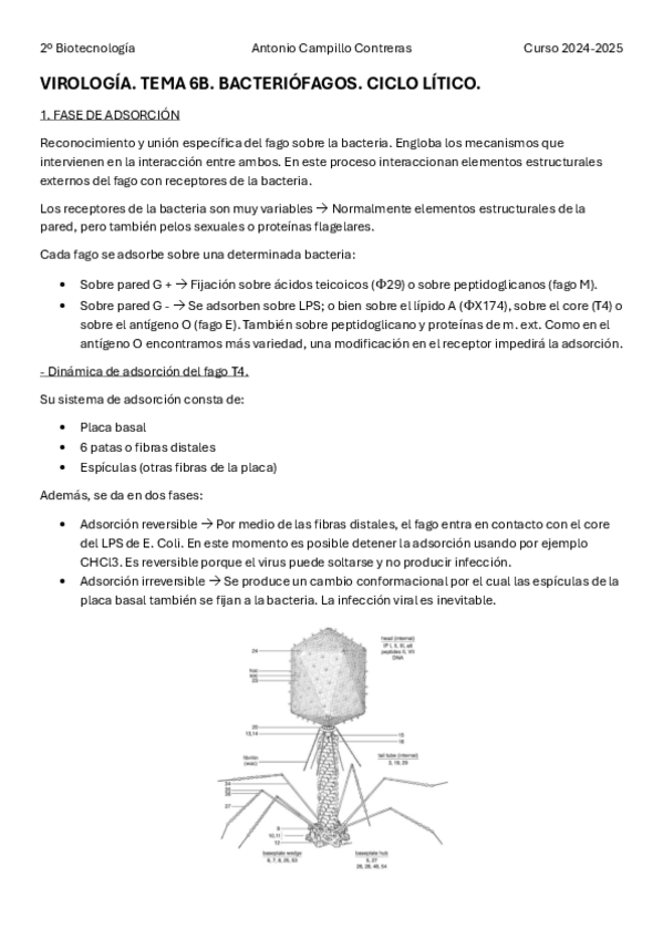 Miniatura del documento VIR-T6B.pdf