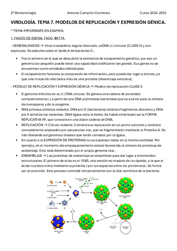 Miniatura del documento VIR-T7.pdf
