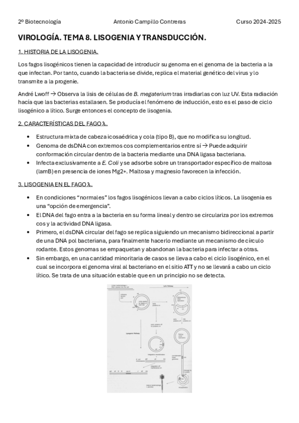 Miniatura del documento VIR-T8.pdf