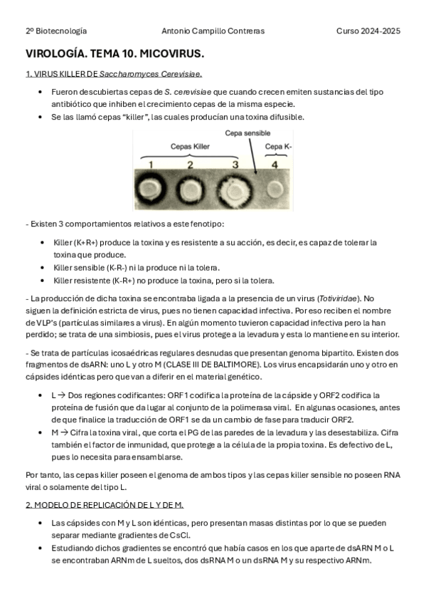 Miniatura del documento VIR-T10.pdf