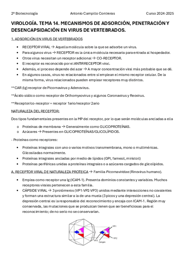 Miniatura del documento VIR-T14.pdf