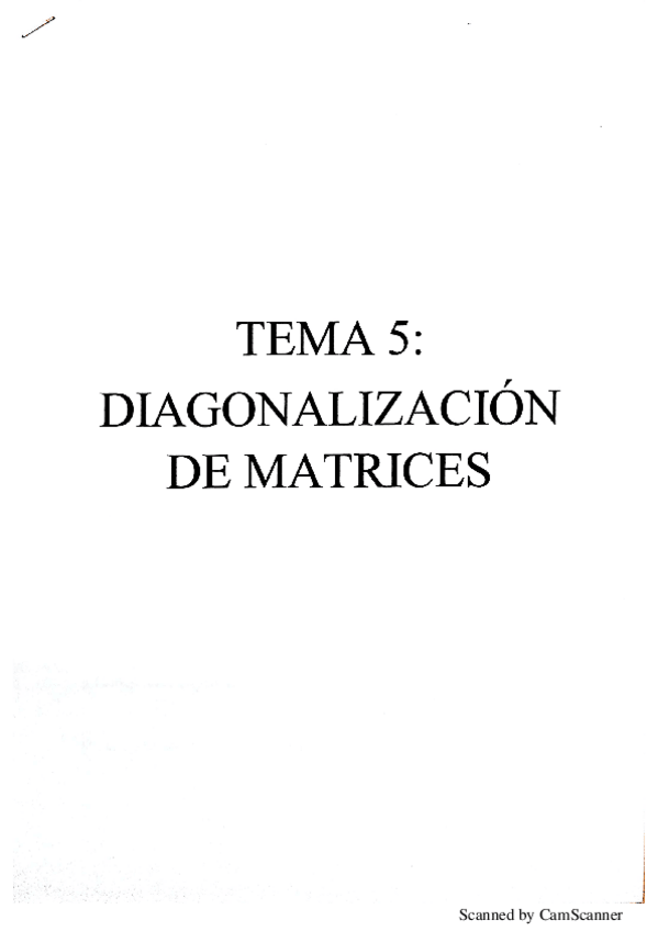 Miniatura del documento TEMA 5- DIAGONALIZACION.pdf
