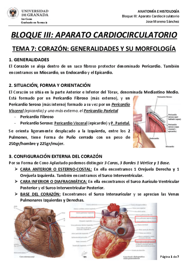 Miniatura del documento BLOQUE-III-APARATO-CARDIOCIRCULATORIO.pdf