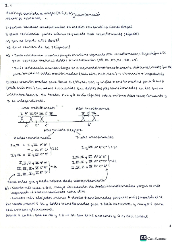 Miniatura del documento Ejercicios-2.-Recombinacion-genetica-y-cartografiado-en-virus-y-procariotas.pdf