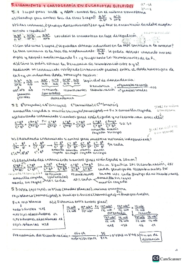 Miniatura del documento Ejercicios-5-Ligamiento-y-cartografia-en-eucariotas-diploides.pdf