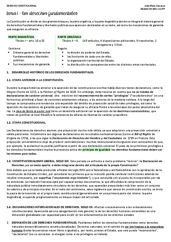 Miniatura del documento TEMA-1-LOS-DERECHOS-FUNDAMENTALES.pdf