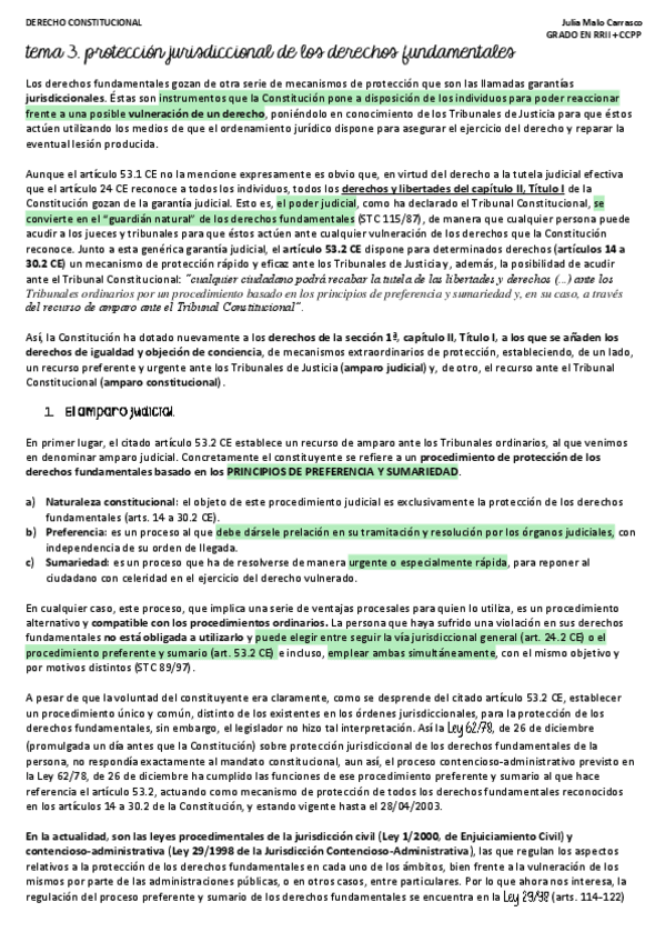 Miniatura del documento TEMA-3-PROTECCION-JURISDICCIONAL-DE-LOS-DERECHOS-FUNDAMENTALES.pdf