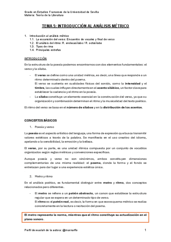 Miniatura del documento Teoria-de-la-literatura-apuntes-de-la-practica.pdf