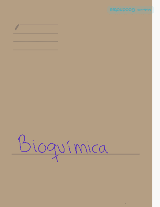Miniatura del documento Esquemas-bioquimica-1.pdf