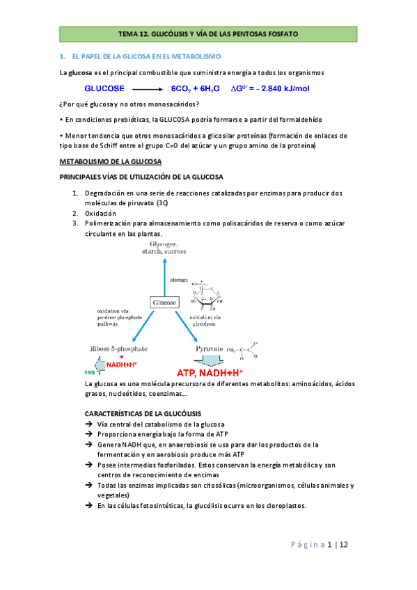 Miniatura del documento TEMA-12-BQ.pdf