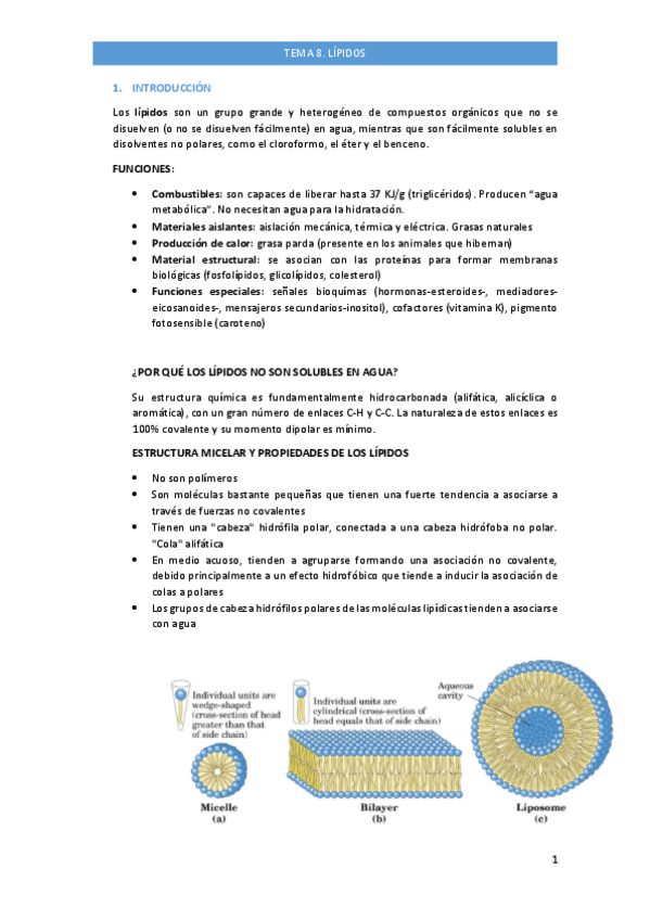 Miniatura del documento TEMA-8-BQ-LIPIDOS.pdf