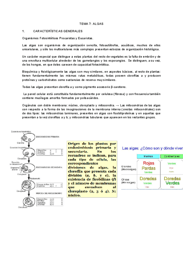 Miniatura del documento TEMA-7-ALGAS.pdf