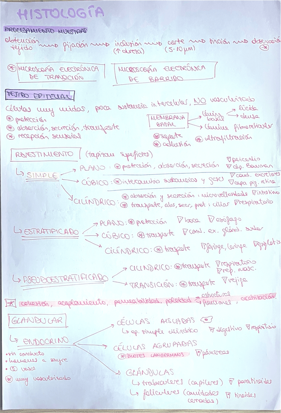 Miniatura del documento HISTOLOGIA.pdf