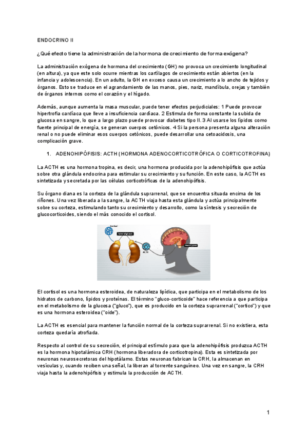 Miniatura del documento ENDOCRINO-TEMA-2-muy-explicado.pdf