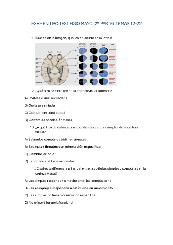 Miniatura del documento FISIOLOGIA-DEL-SISTEMA-VISUAL-2-PARTE.-2.pdf