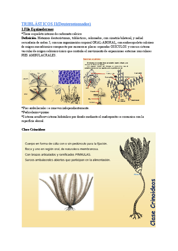Miniatura del documento Triblasticos-II.pdf