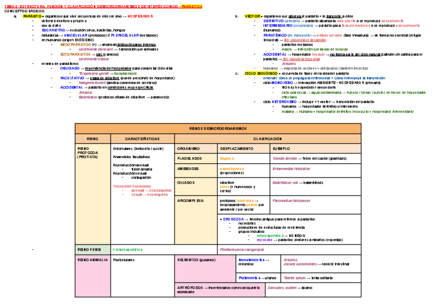 Miniatura del documento ESQUEMA-TEMA-5-MICRO.pdf
